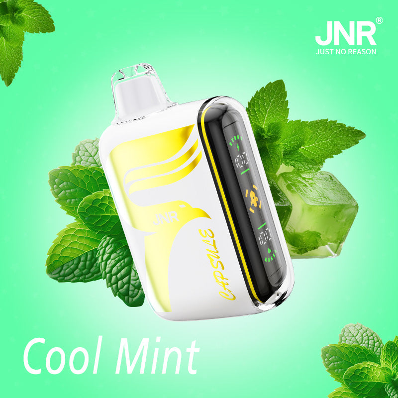 JNR Digital Box 15000 Puffs (Box of 10)