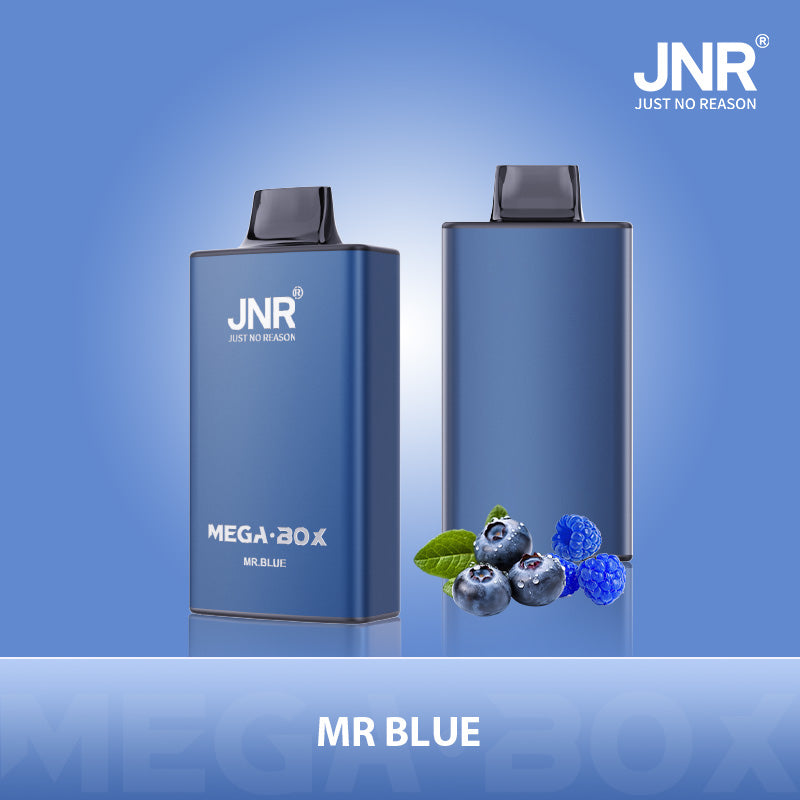 JNR Mega Box 25000 Puffs Disposable Vape (Box of 10)