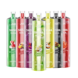 JNR Shisha Hookah 12000 Puffs Disposable Vape (Box of 10)